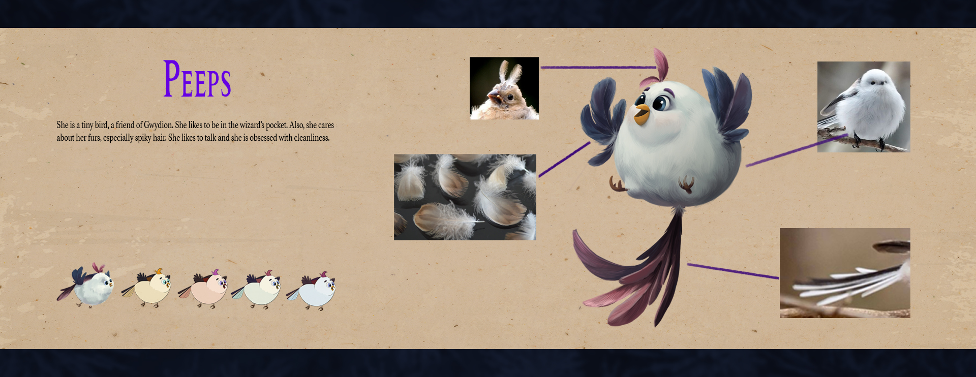 Peeps bird character design sheet with feather references and color variations