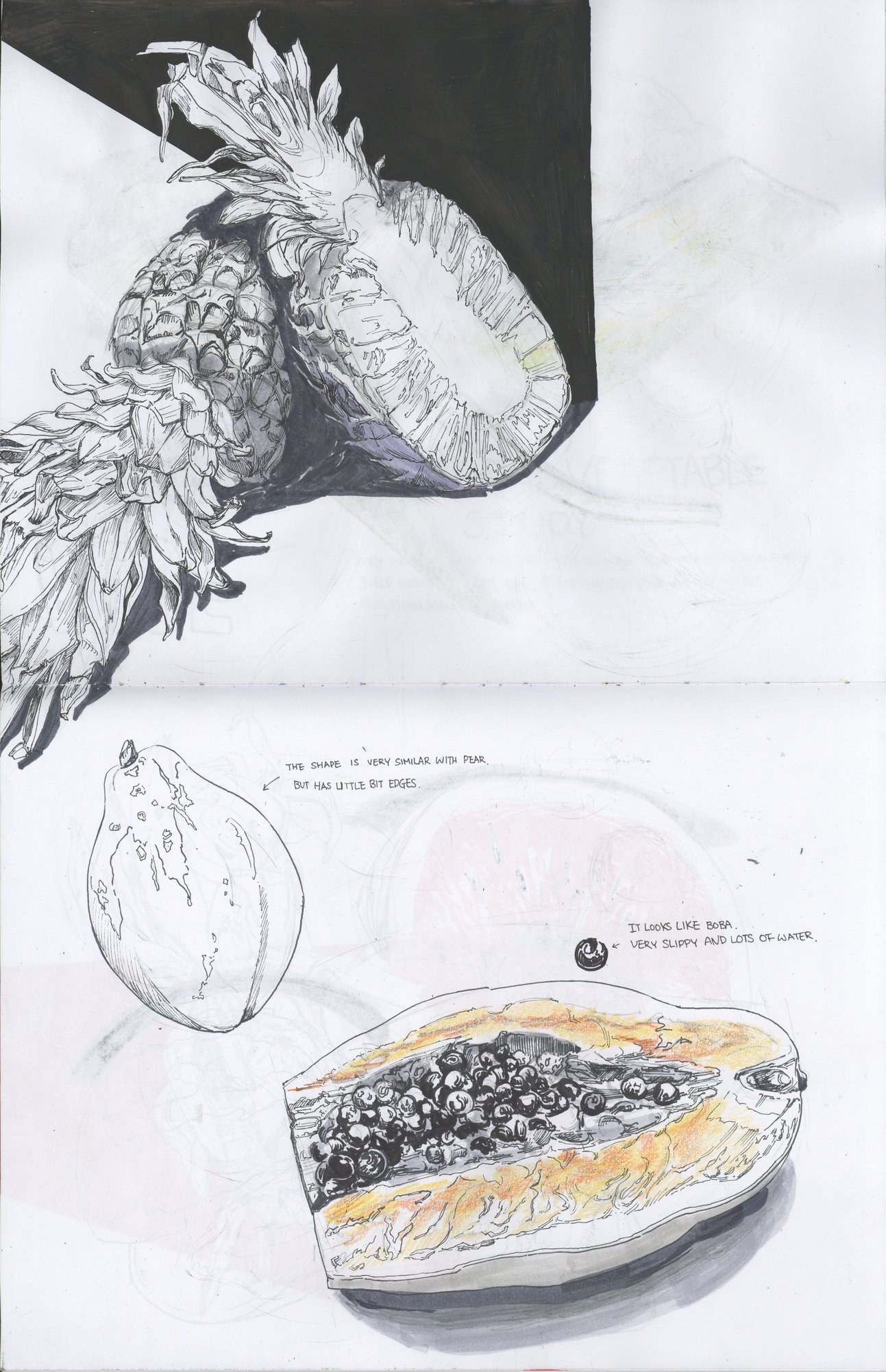 Rooster and papaya observational studies