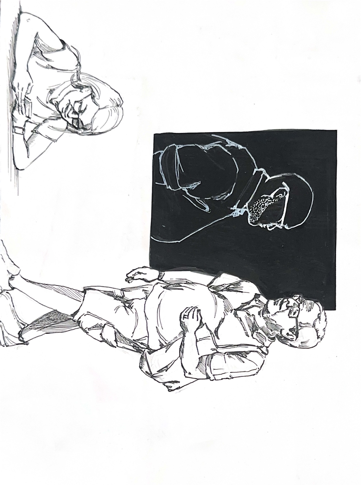 Cat anatomy and gesture studies